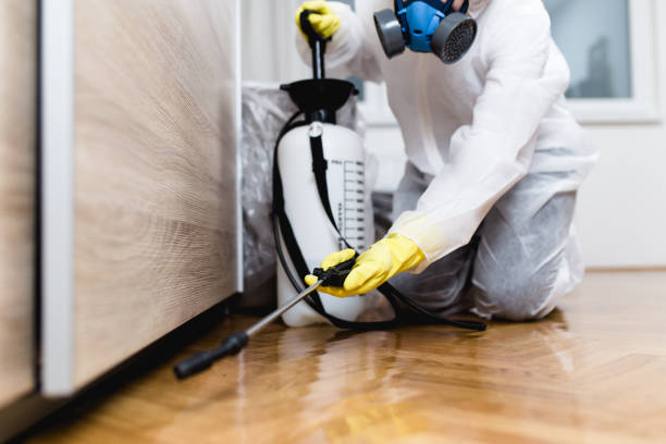 Best Pest Removal Services  in Monticello, IA