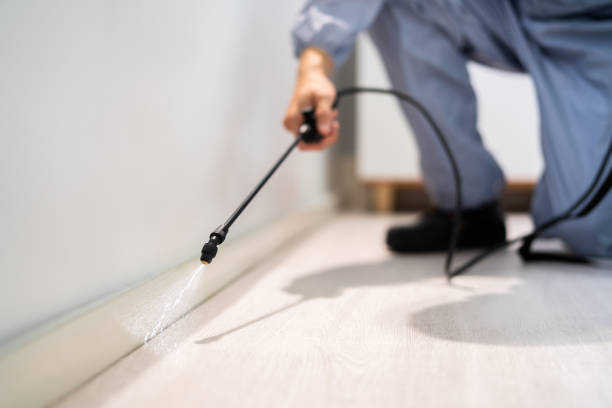 Best Local Pest Control Services  in Monticello, IA