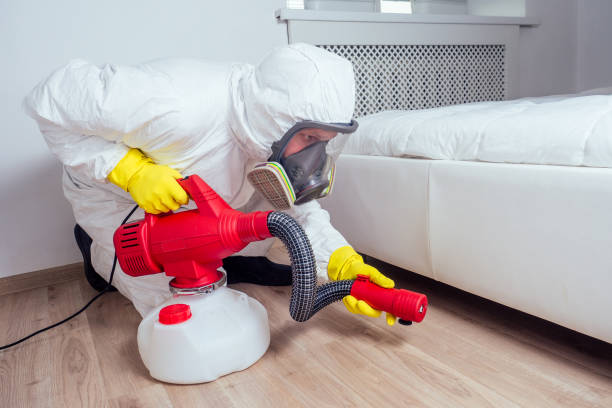 Best Flea Control Services  in Monticello, IA