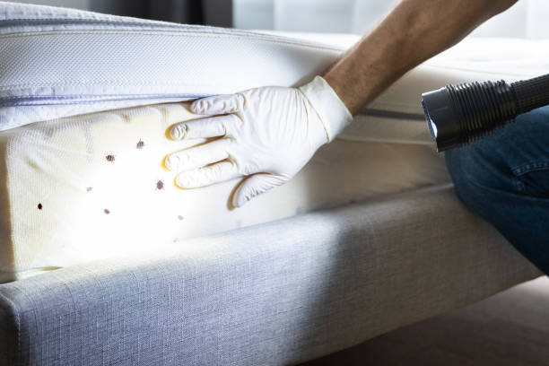 Best Cockroach Control Services  in Monticello, IA