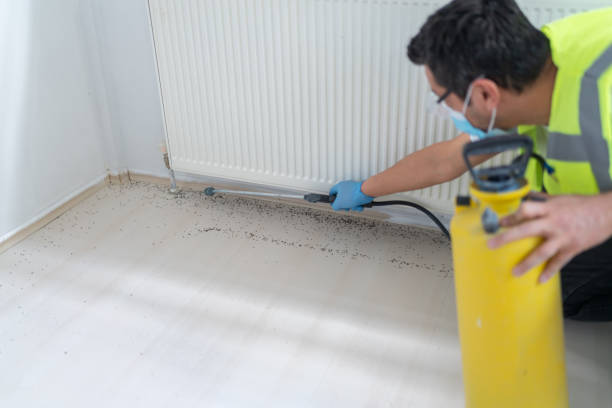 Flea Control Services in Monticello, IA